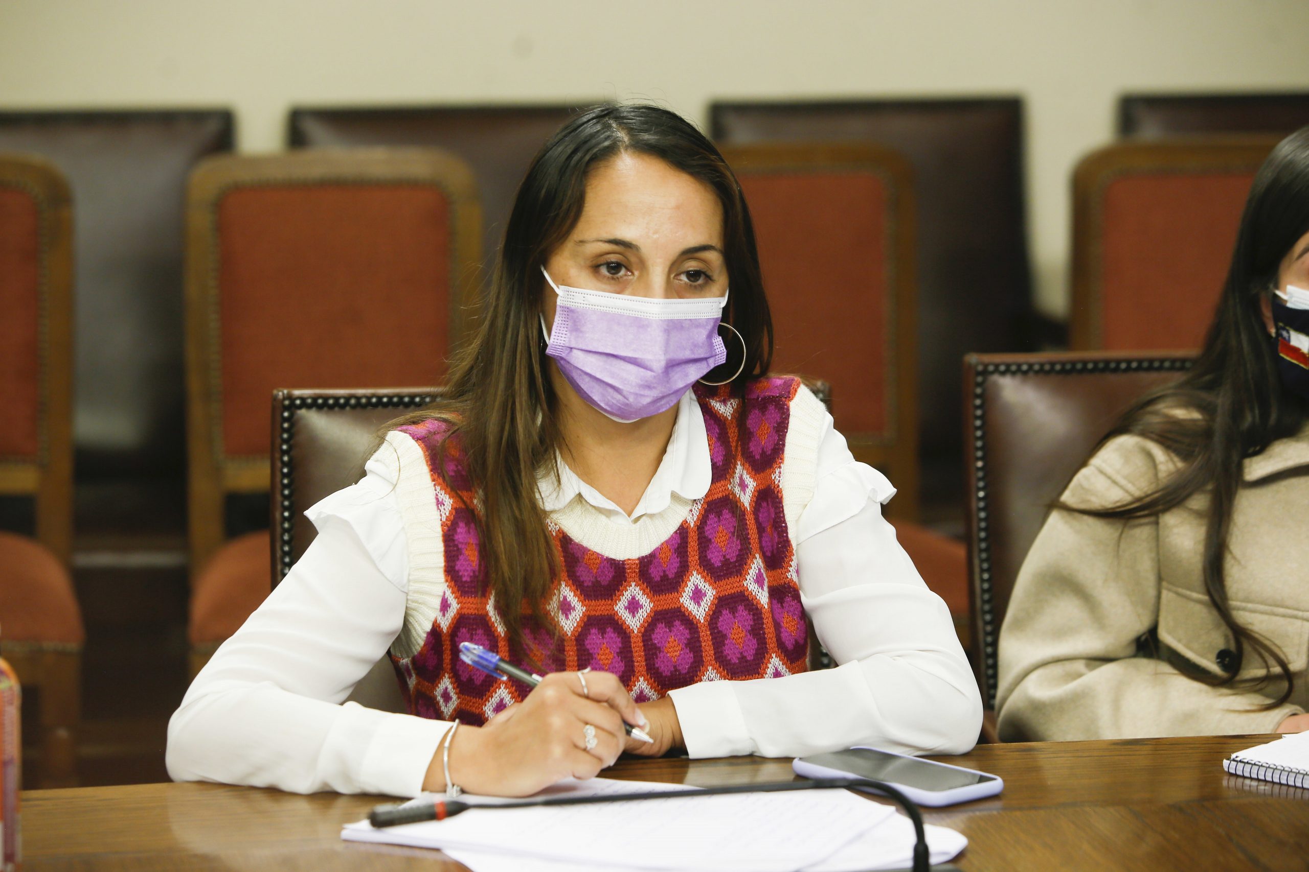 Diputada Carla Morales (RN) solicitó al Gobierno un plan de acción para proteger la salud mental de las mujeres en el trabajo
