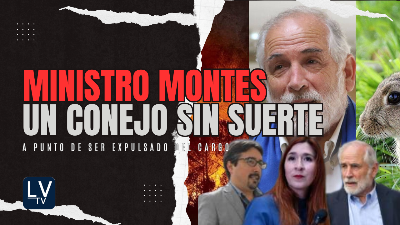 Ministro Montes a punto de ser expulsado del Gobierno