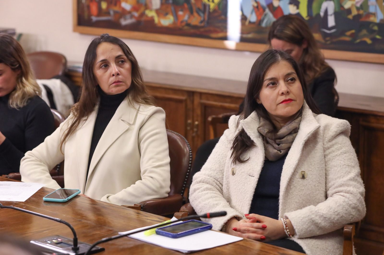 Diputadas de la Comisión de Mujer piden a la ministra Orellana tomar medidas por mujeres vulnerables que están siendo captadas por el crimen organizado para cometer delitos