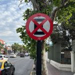 Proponen crear red de hospitales públicos para la atención de mascotas